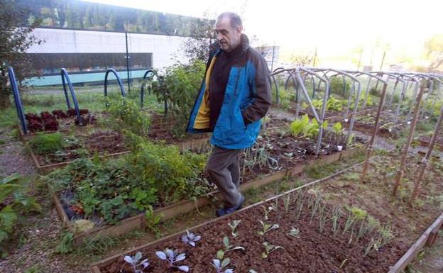 Huertas ecológicas de Etxebarri./E. C.