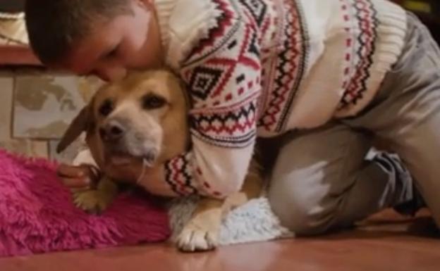 La emotiva felicitación de Navidad protagonizada por una perra salvada de ser 'sparring' en peleas