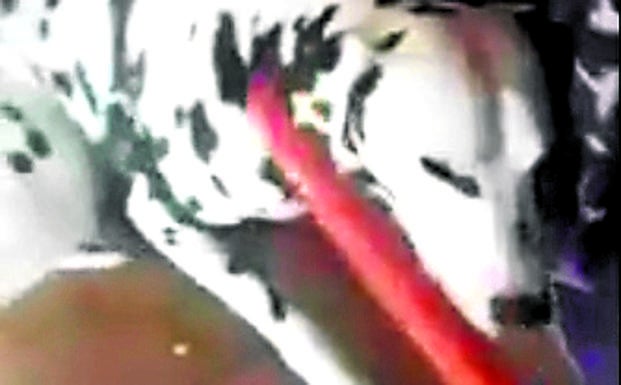 Imagen sacada del vídeo del maltrato difundido por redes sociales/