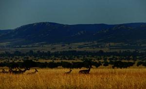 Parque Natural de Cabañeros./