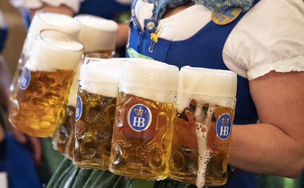 Por el calentamiento global, podría dispararse el precio de la cerveza