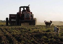 Un agricultor trabajando en el campo con su tractor. / Archivo/
