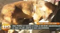 Vídeo: Youtube/