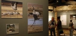 Aspecto de la muestra fotográfica en el Centro de Estudios Ambientales de Vitoria. / RAFA GUTIÉRREZ/