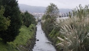 El río atraviesa el humedal de Astrabudua en una de sus zonas mejor conservadas. ::
PEDRO URRESTI/