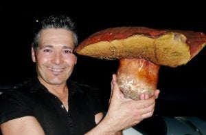 José Antonio Tauste hace gala de una seta de más de dos kilos que encontró en La Rioja. :: EL CORREO/