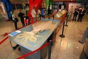 Calamar gigante expuesto hace dos años. :: PEDRO URRESTI/
