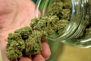 El Parlamento vasco ha convocado una ponencia para estudiar la legalización de los clubes de consumidores./ Agencias/
