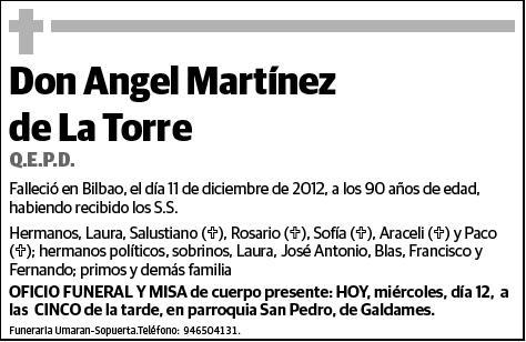 MARTINEZ DE LA TORRE,ANGEL