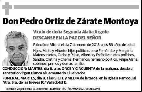ORTIZ DE ZARATE MONTOYA,PEDRO