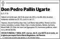 PALLIN UGARTE,PEDRO