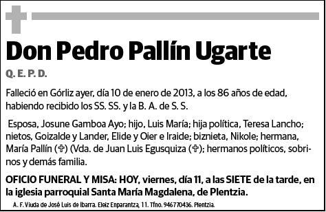 PALLIN UGARTE,PEDRO