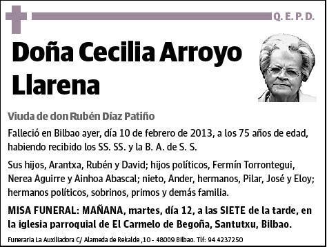 ARROYO LLARENA,CECILIA