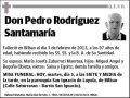 RODRIGUEZ SANTAMARIA,PEDRO