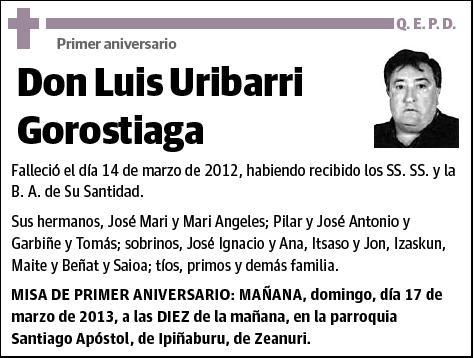 URIBARRI GOROSTIAGA,LUIS