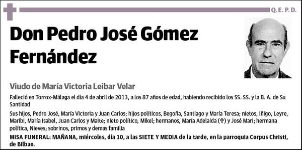 GOMEZ FERNANDEZ,PEDRO JOSE