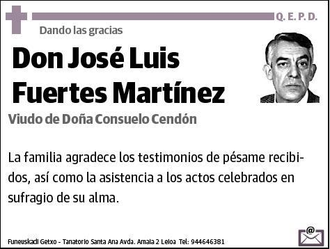 FUERTES MARTINEZ,JOSE LUIS