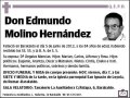MOLINO HERNANDEZ,EDMUNDO