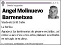 MOLINUEVO BARRENETXEA,ANGEL