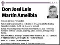 MARTIN AMELIBIA,JOSE LUIS