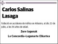 SALINAS LASAGA,CARLOS