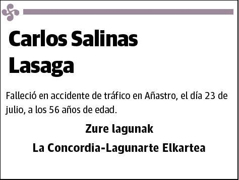 SALINAS LASAGA,CARLOS