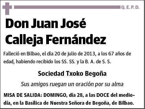 CALLEJA FERNANDEZ,JUAN JOSE