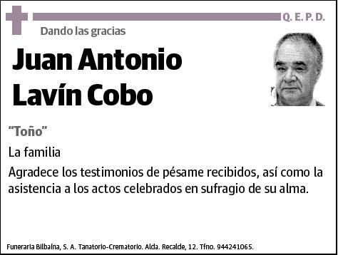 LAVIN COBO,JUAN ANTONIO