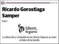 GOROSTIAGA SAMPER,RICARDO