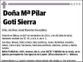 GOTI SIERRA,Mª PILAR