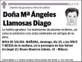 LLAMOSAS DIAGO,Mª ANGELES