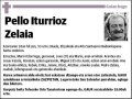 ITURRIOZ ZELAIA,PELLO