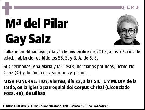 GAY SAIZ,Mª DEL PILAR