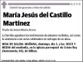 DEL CASTILLO MARTINEZ,MARIA JESUS