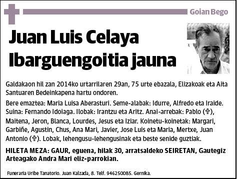 CELAYA IBARGUENGOITIA,JUAN LUIS