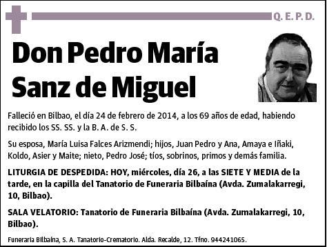 SANZ DE MIGUEL,PEDRO MARIA
