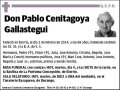 CENITAGOYA GALLASTEGUI,PABLO