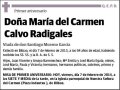 CALVO RADIGALES,MARIA DEL CARMEN