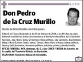 DE LA CRUZ MURILLO,PEDRO