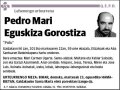 EGUSKIZA GOROSTIZA,PEDRO MARI