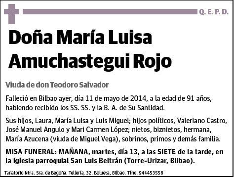 AMUCHASTEGUI ROJO,MARIA LUISA