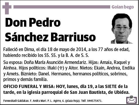 SANCHEZ BARRIUSO,PEDRO