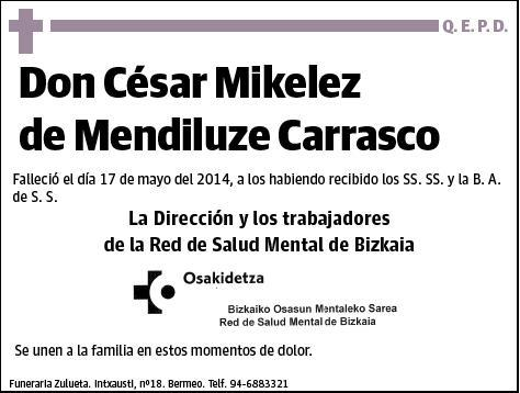 MIKELEZ DE MENDILUCE CARRASCO,CESAR