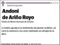 DE ARIÑO ROYO,ANDONI