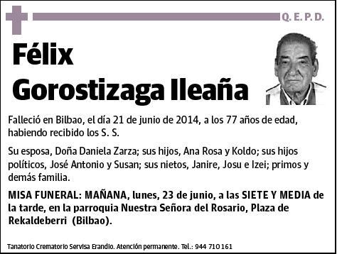 GOROSTIZAGA ILEAÑA,FELIX