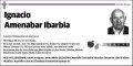 AMENABAR IBARBIA,IGNACIO