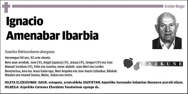 AMENABAR IBARBIA,IGNACIO