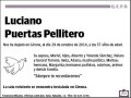 PUERTAS PELLITERO,LUCIANO