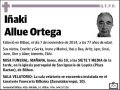 ALLUE ORTEGA,IÑAKI
