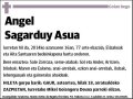 SAGARDUY ASUA,ANGEL
